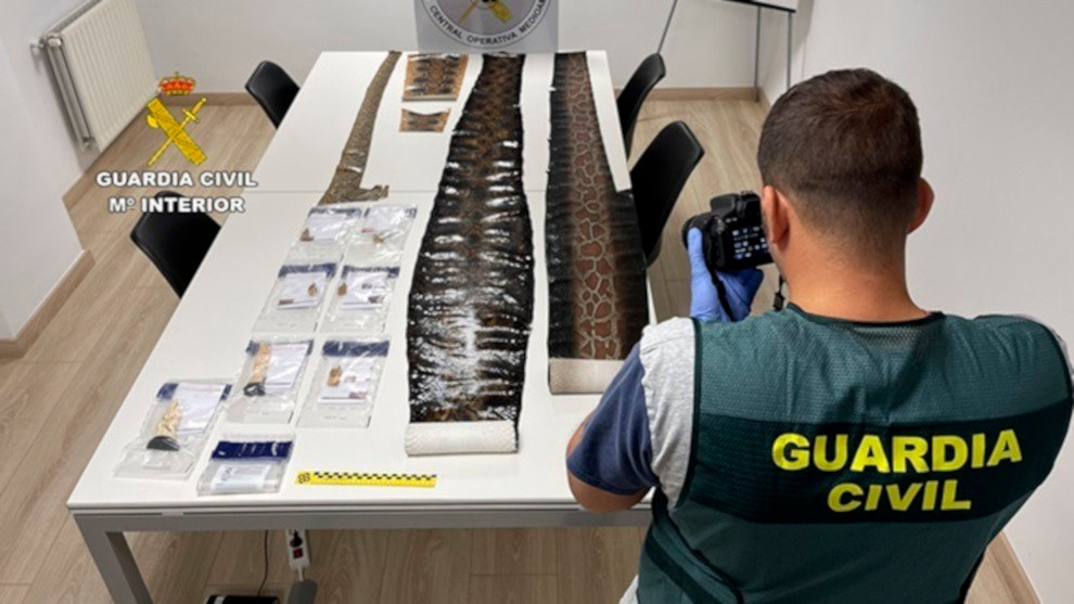 Guardia Civil recupera 100 piezas de marfil, pieles de serpientes y lagartos dispuestos para su venta ilegal en el País Vasco