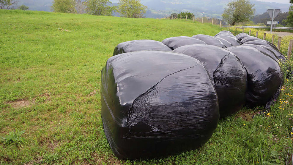 Solórzano recogió 53 toneladas de residuos ‘especiales’ durante el año 2021