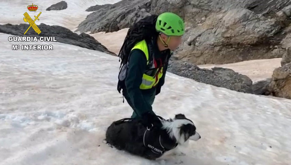 Rescate de un perro en Picos De Europa