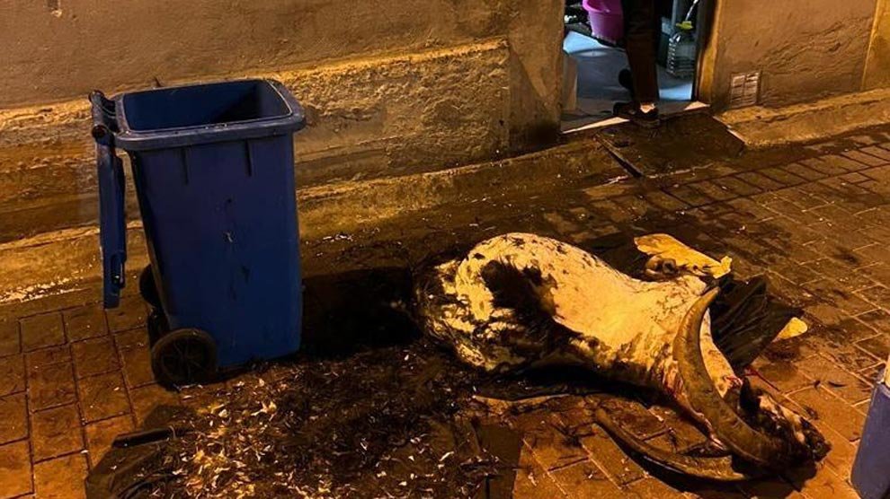 Cabra sacrificada en la puerta trasera del local | Foto: redes sociales