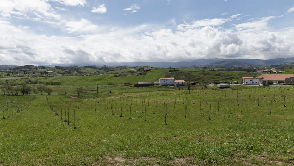 Explotación agraria en Cantabria