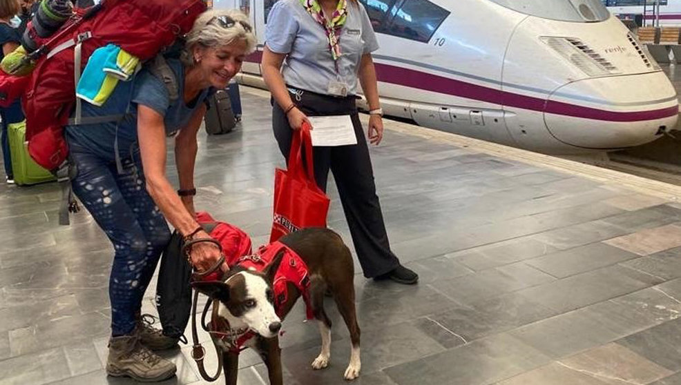 Una perrita de tres años, la primera mascota de hasta 40 kilos que viaja en un AVE desde Zaragoza-Delicias