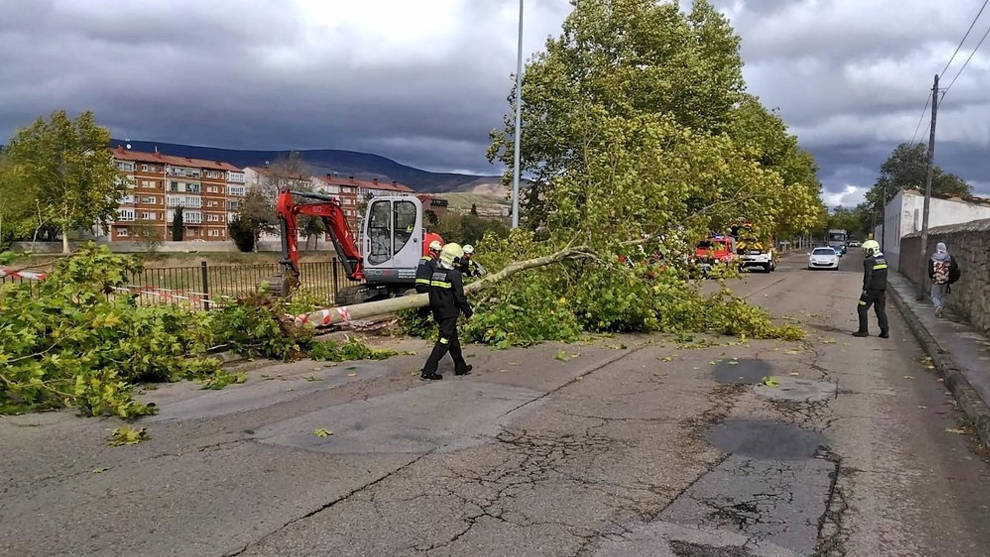 Los bomberos intervienen ante la caída de un árbol por el viento en Reinosa