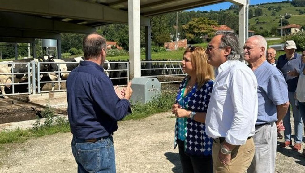 Los candidatos del PP al Senado por Cantabria visitan una ganadería en Secadura (Voto)