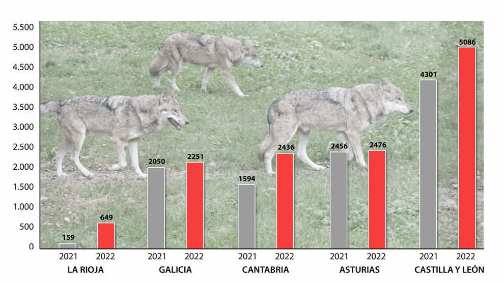 Gráfico comparativo de los ataques de lobos en un año