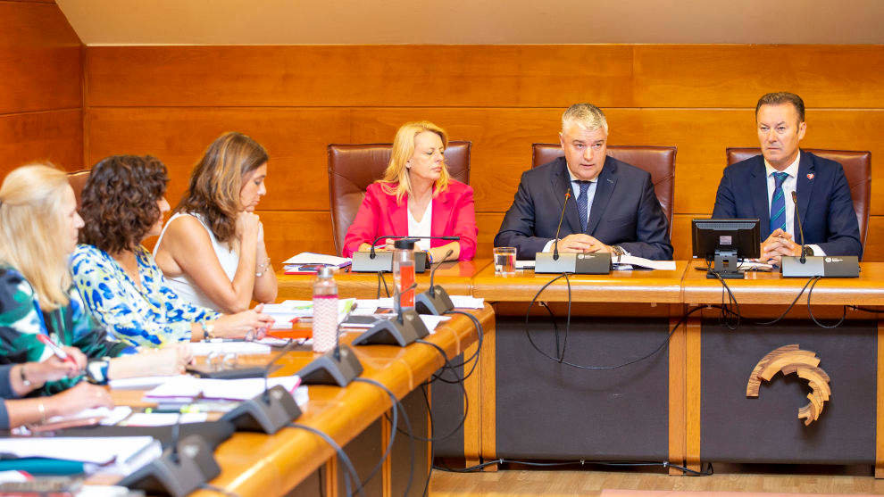 El consejero de Economía, Hacienda y Fondos Europeos, Luis Ángel Agüeros, comparece en el Parlamento