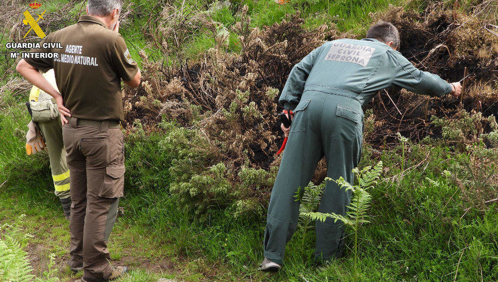  Guardia Civil y agentes del Medio Natural investigan los incendios forestales 