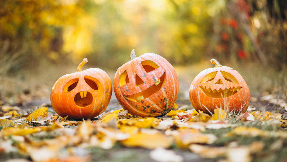 Los municipios se preparan para vivir Halloween | Foto: Pixabay