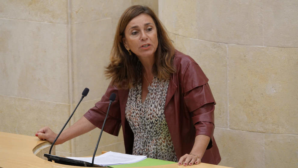 Paula Fernández en el Parlamento