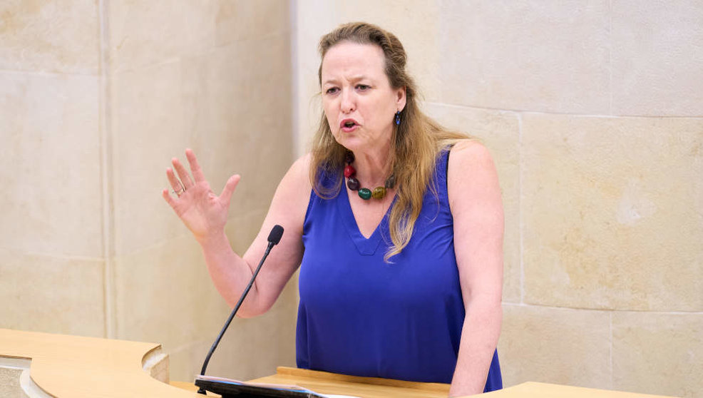 La portavoz de Vox en el Parlamento de Cantabria, Leticia Díaz