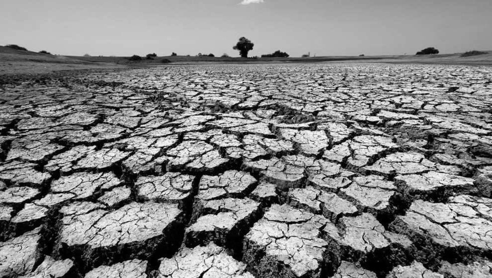Terreno afectado por la sequía