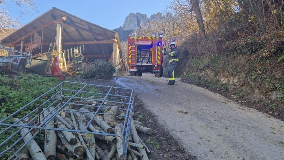 Bomberos de Cantabria sofocan un fuego en un árbol tras labores de poda