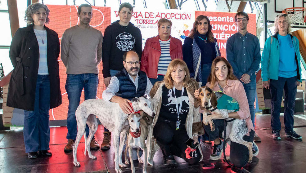 Torrelavega convoca ayudas para proyectos de Bienestar Animal por 40.000 euros