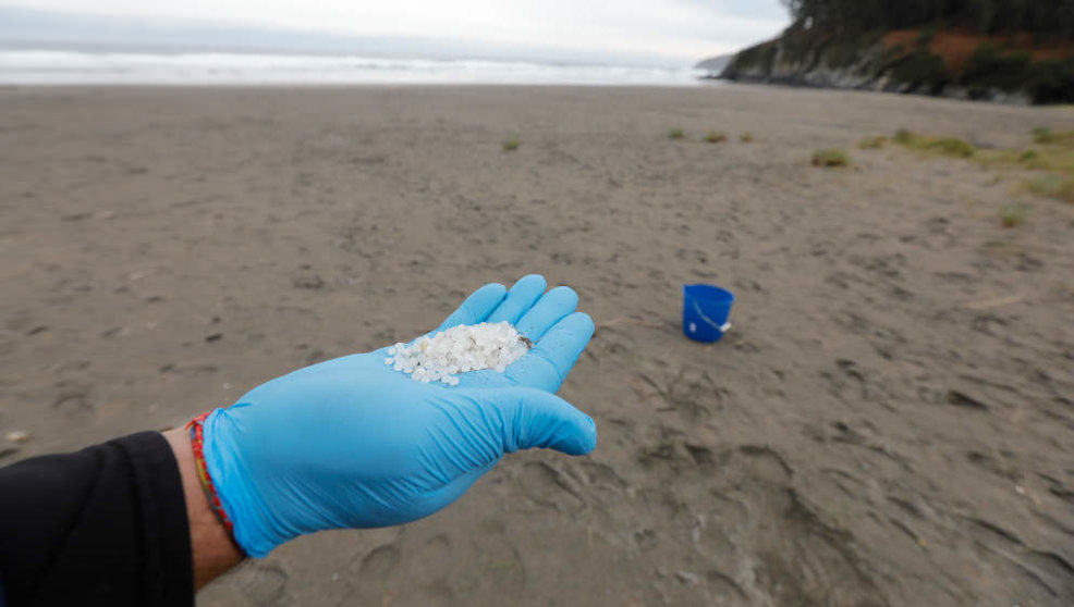 Un operario de TRAGSA coge con la mano pellets de plástico, en la playa