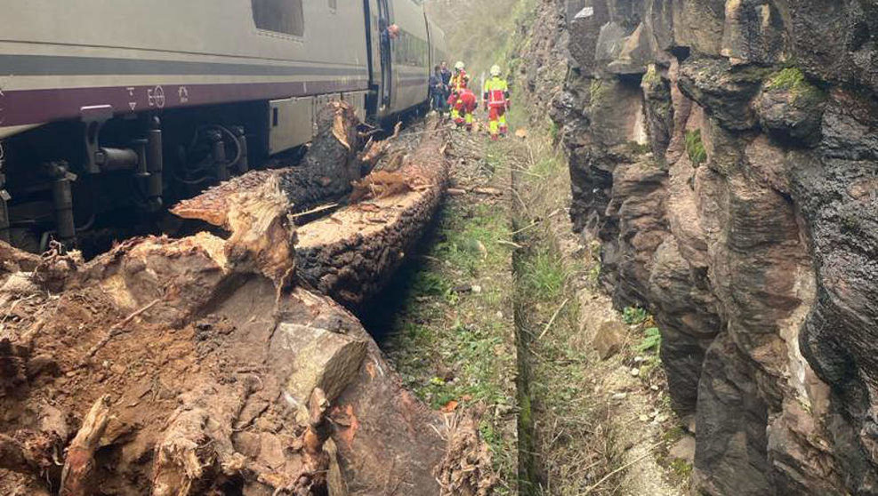 Un tren Alvia ha chocado contra un árbol de grandes dimensiones | Foto: 112 Cantabria
