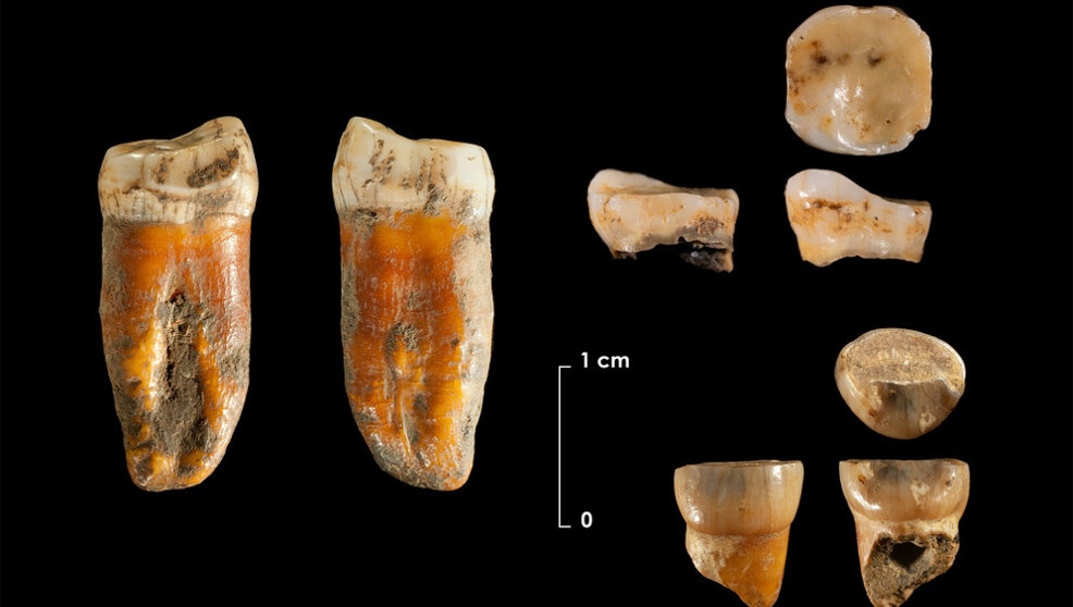 Restos neandertales de hace 100.000 años en el yacimiento de Axlor