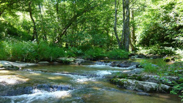 Cerca de 900 voluntarios del Proyecto Ríos inspeccionaron 76 tramos fluviales en Cantabria durante 2023