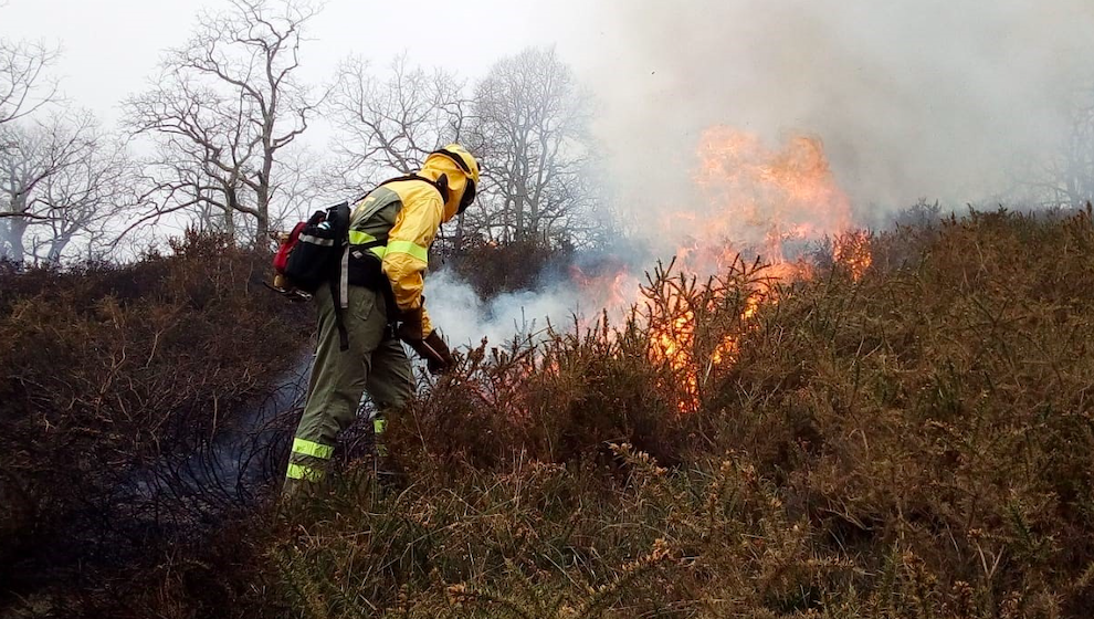 Cantabria tiene ya más 5.500 hectáreas quemadas en lo que va de 2022
