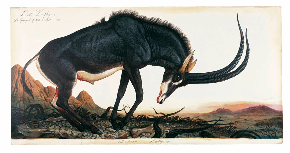 Lost Trophy (Sable Antelope), 1993