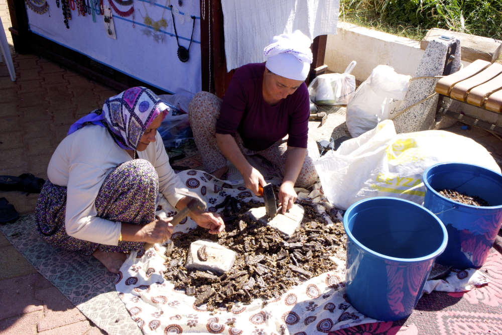 Mujeres preparando algarrobas