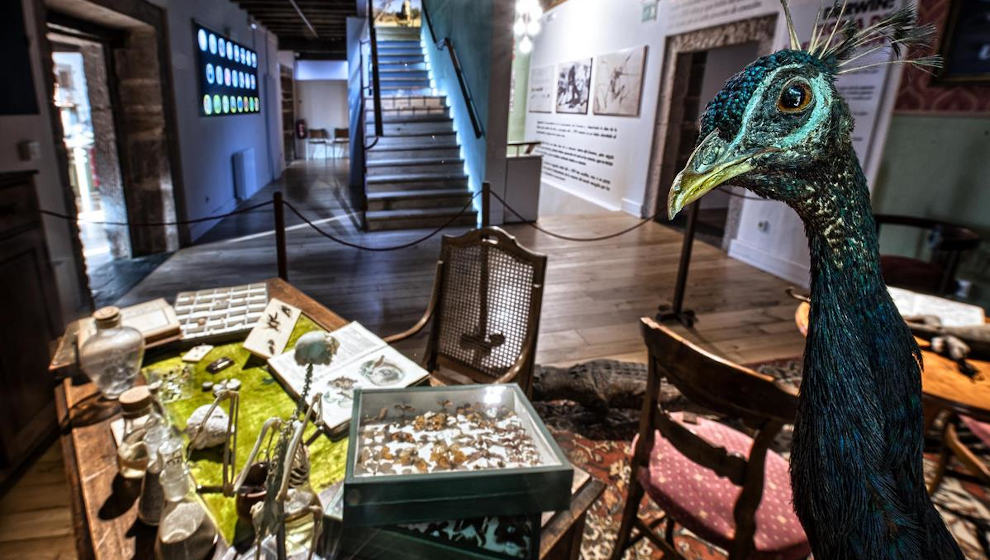 El Museo de la Naturaleza organiza 'El Instante de la Creación', que acerca la ciencia a través del arte