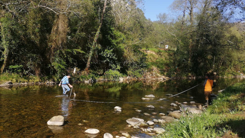 Cerca de un millar de voluntarios inspeccionarán en mayo un centenar de tramos de río en Cantabria