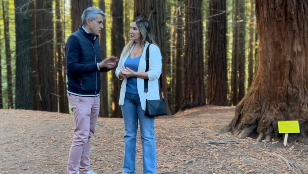  Reclamamos medidas al Gobierno y al ayuntamiento para proteger el bosque de Secuoyas, un espacio natural que se degrada ante la inacción y la falta de toma de decisiones del PP 